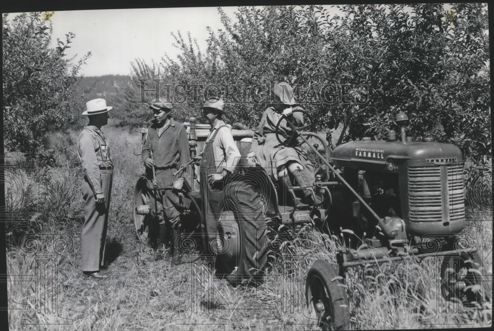 Men working in an orchard, woman driving tractor-Historic Images
