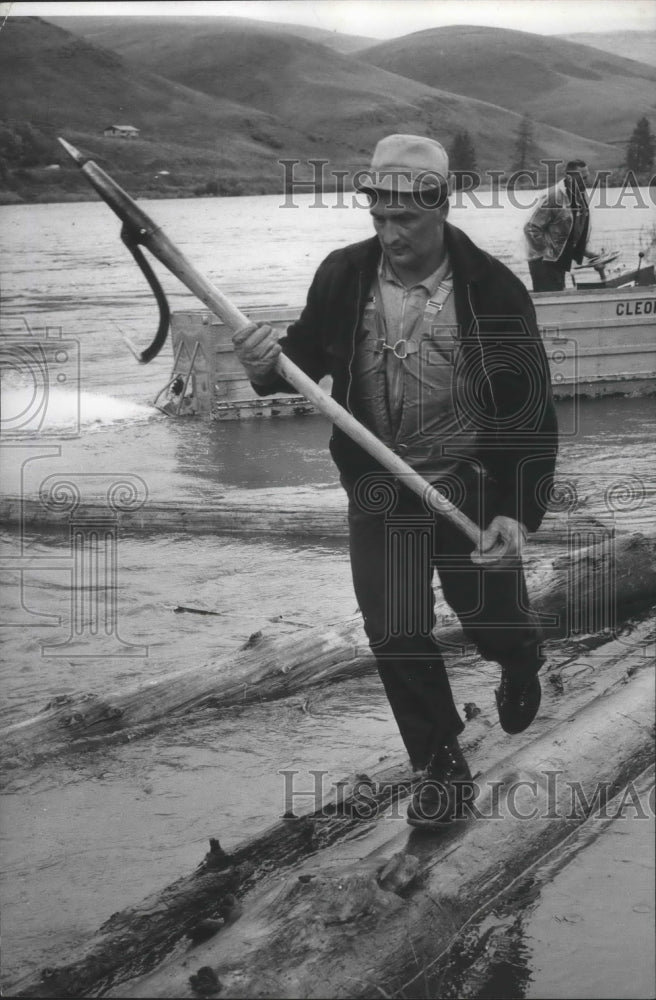 1971 Logger armed with peavey hook walks across logs - Historic Images