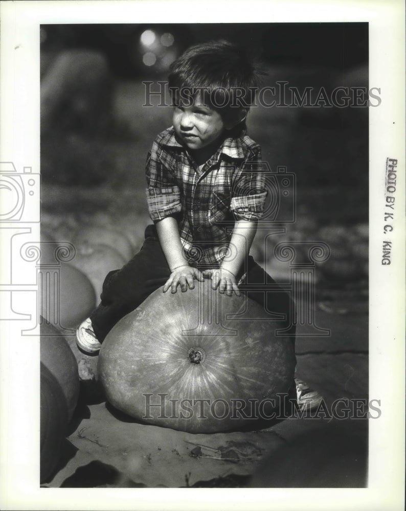1987 Chad Smith sits on pumpkin, Pumpkin Hill patch on North Argonne-Historic Images