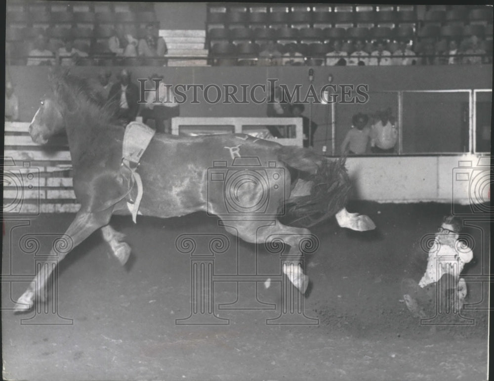 1965 Press Photo Tobe Robbins w/ his bareback at the Diamond Spur at Coliseum - Historic Images