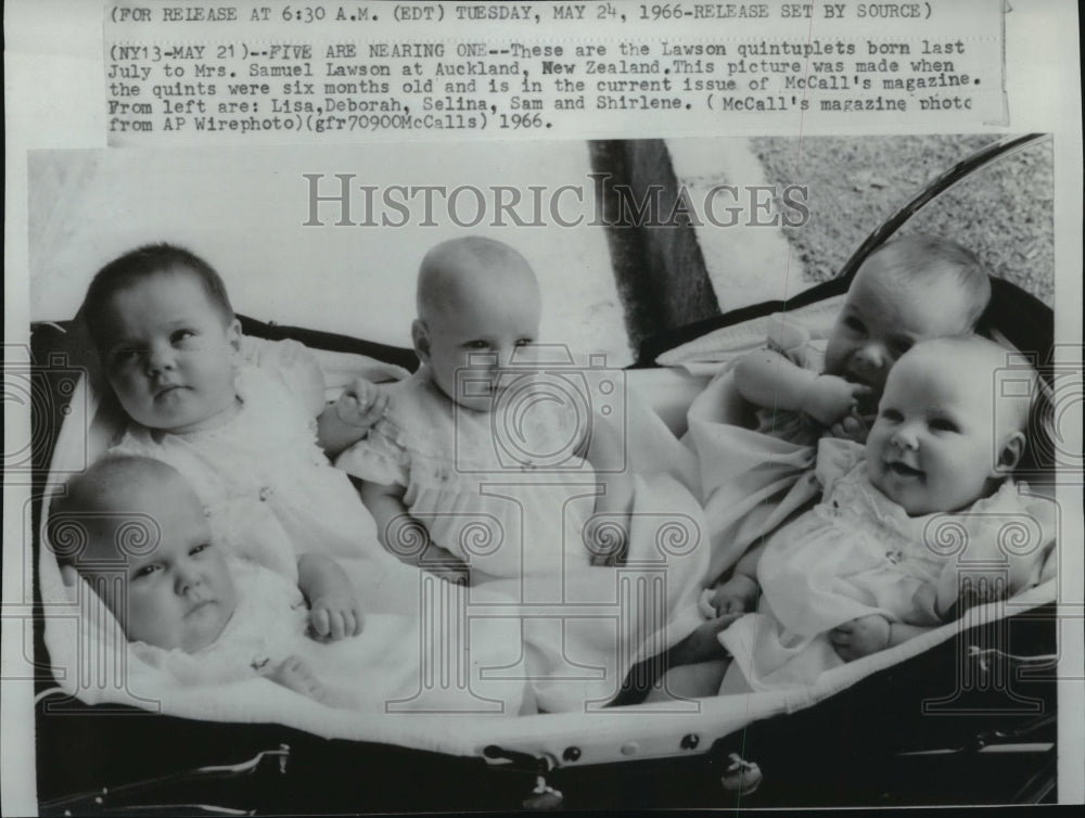 1966 Lawson quintuplets at six months old, Auckland, New Zealand - Historic Images
