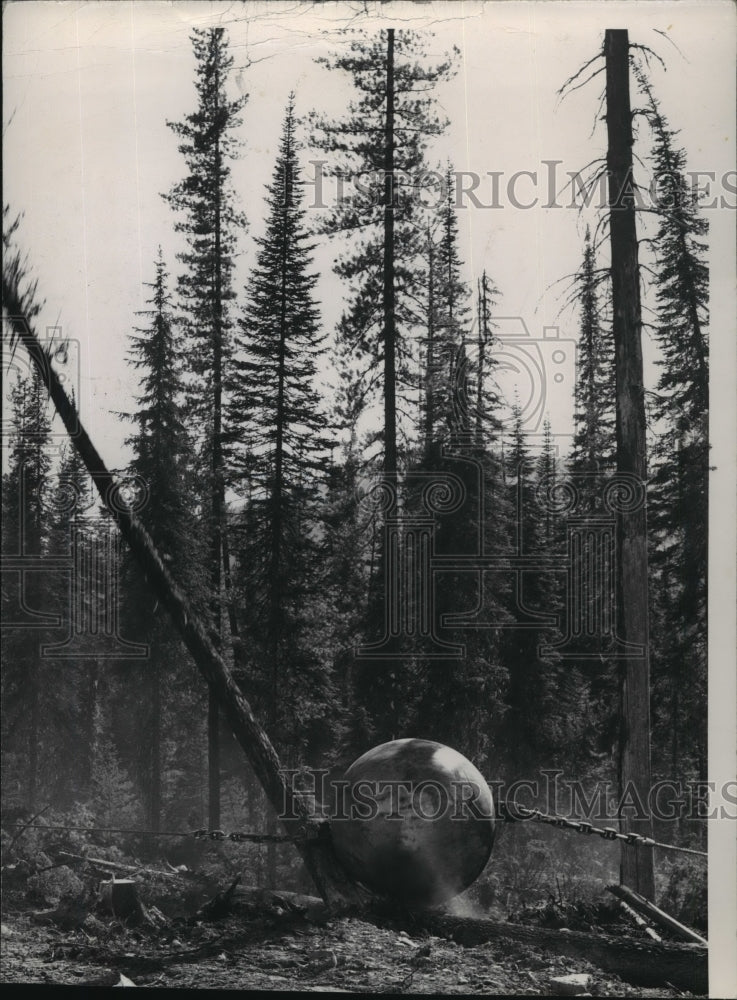 Press Photo Lumber Industry - Logging Scene - spa97526 - Historic Images