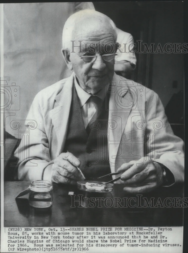 1966 Dr. Peyton Rous-named to receive Nobel Prize for Medicine award - Historic Images