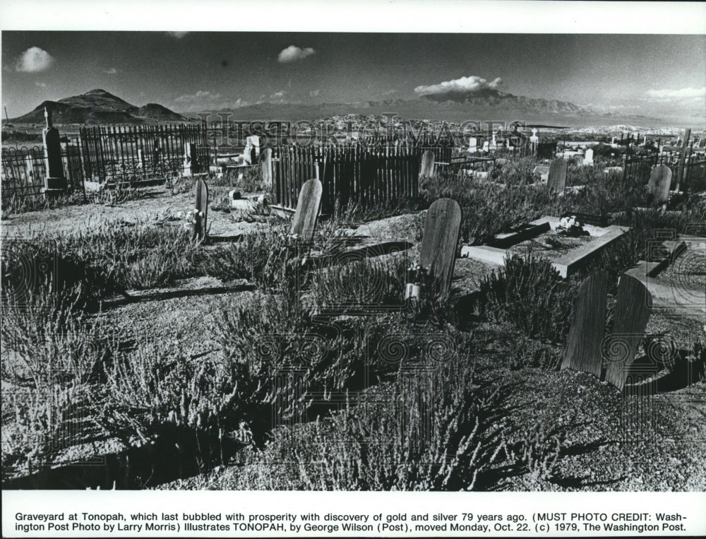 1979 Graveyard at Tonopah, prospered during gold rush 79 years ago. - Historic Images