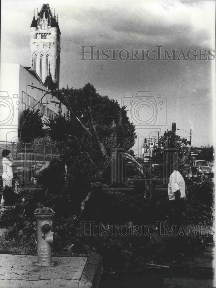 1975 Press Photo Barry Adams inspecting damage after thunder and wind storm. - Historic Images