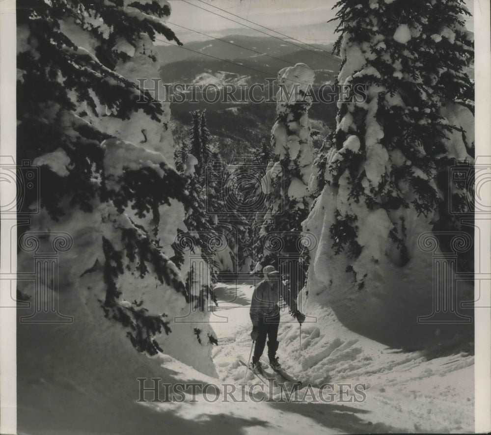 1952 Press Photo Beverly Skadan takes ski trail through trees, Mount Spokane- Historic Images