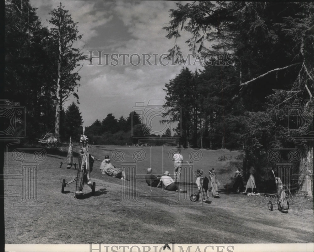 1965 Press Photo People playing and watching Golf at Long Beach, Washington - Historic Images
