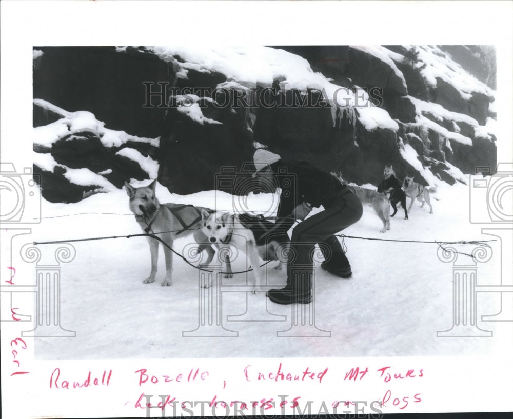 1994 Press Photo Randall Bozelle, runs Enchanted Mountains Tours with sled dogs - Historic Images