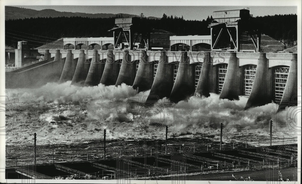 1982 Press Photo The Bonneville dam located between Oregon and Washington - Historic Images