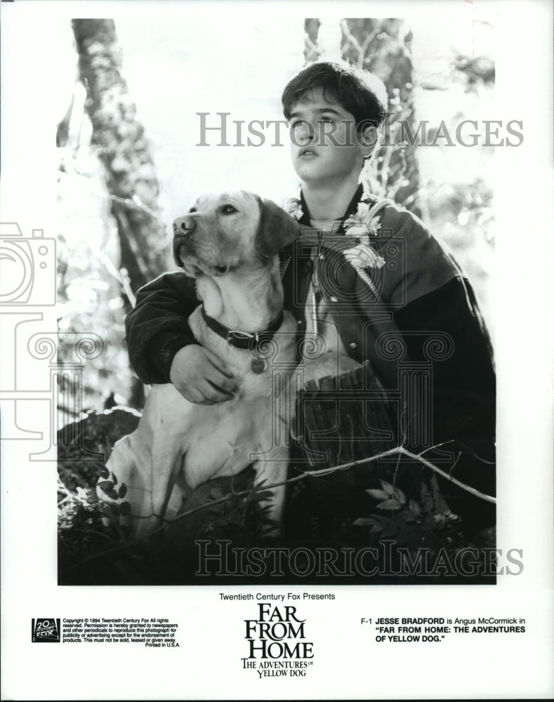 1995 Press Photo Jesse Bradford in Far From Home: The Adventures of Yellow Dog - Historic Images
