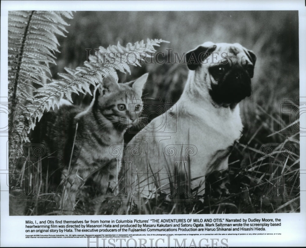 1990 Press Photo Scene from The Adventures of Milo and Otis - Historic Images