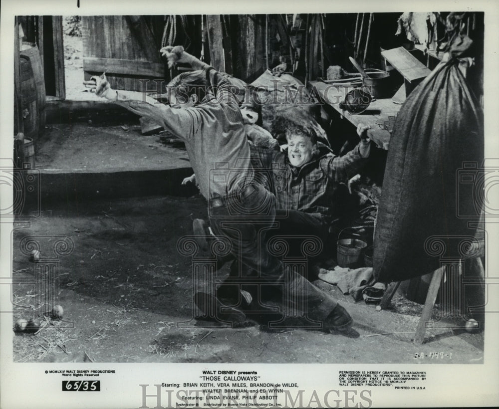 1965 Press Photo One of the scenes from Walt Disney's "Those Calloways" - Historic Images