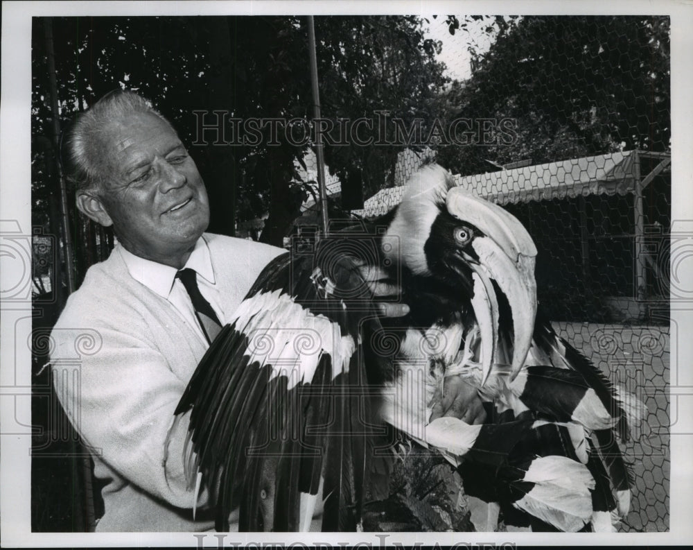 1964 Band Leader Horace Heidt holds a tropical bird - Historic Images