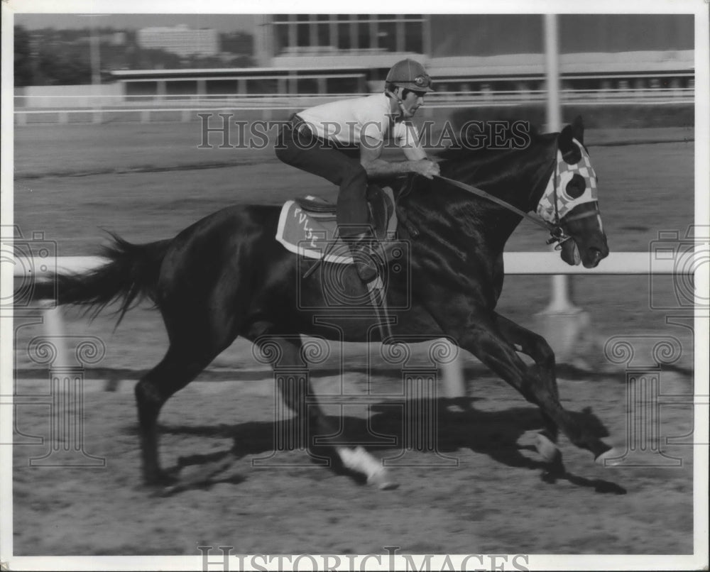 1976 Press Photo Jockey Rick Call riding on Bold Clarion - sps00030-Historic Images