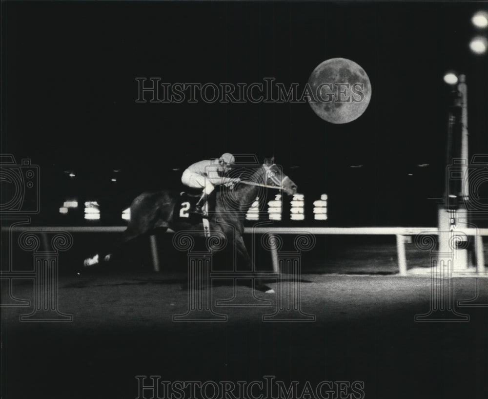 1980 Press Photo Horse Byalask ridden by Dale Wright at night. - sps05984- Historic Images