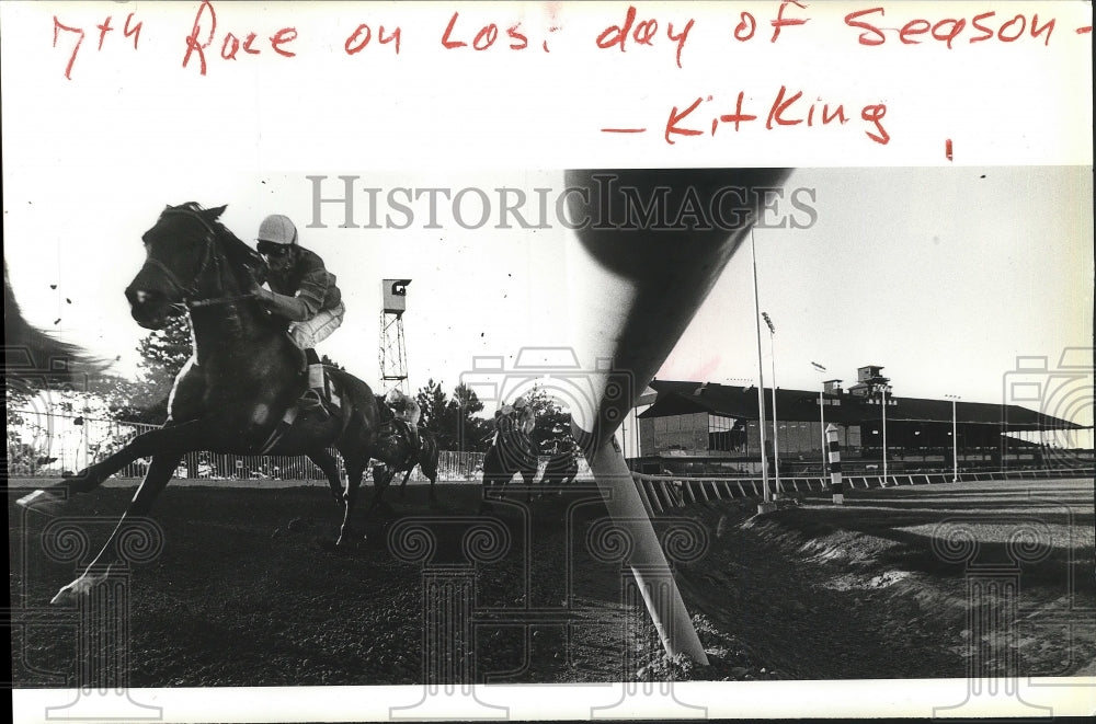 1984 Press Photo Horse Racing, 7th race on last day of season - sps05985- Historic Images