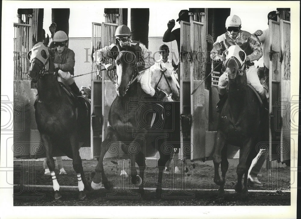 1986 Press Photo Spectacular Bean &amp; Russell Kingrey at the Playfair race track- Historic Images