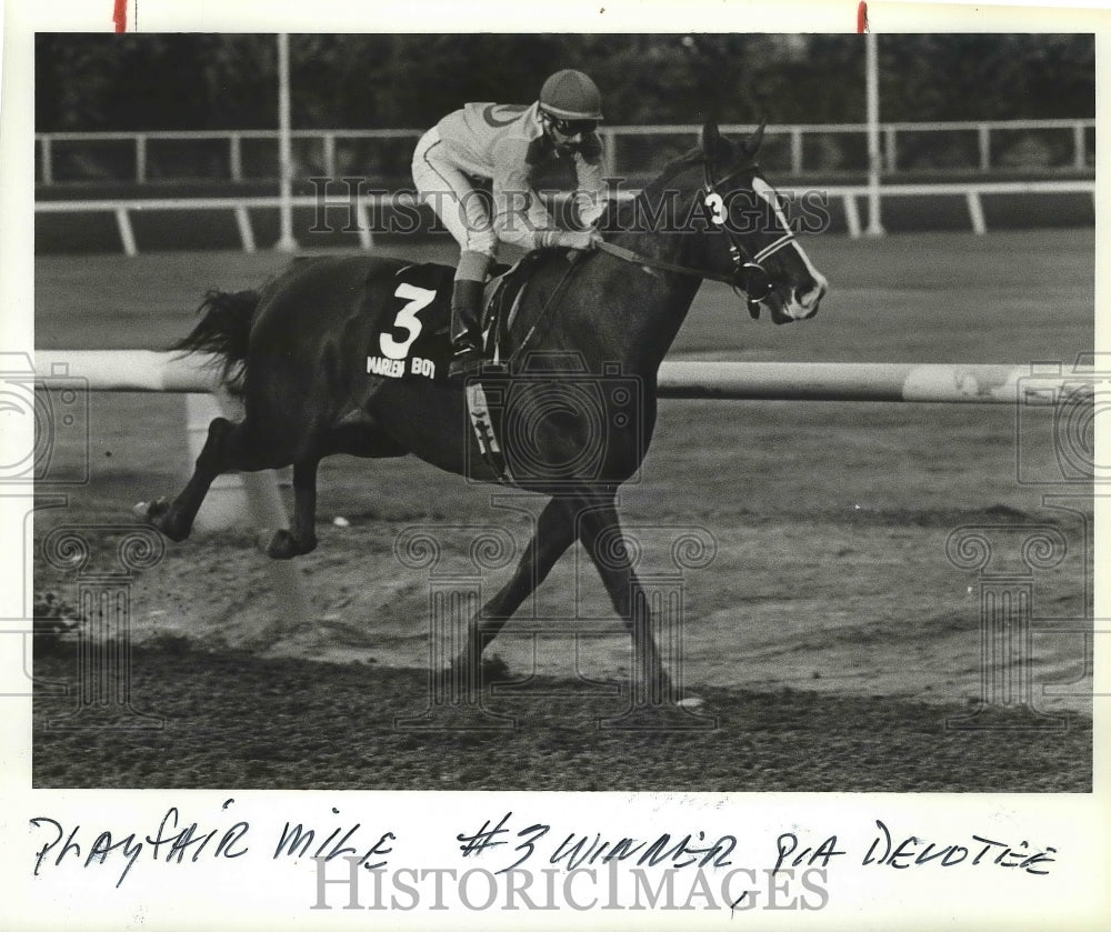 1984 Press Photo Pia Devotee wins horse race at the Playfair race track - Historic Images