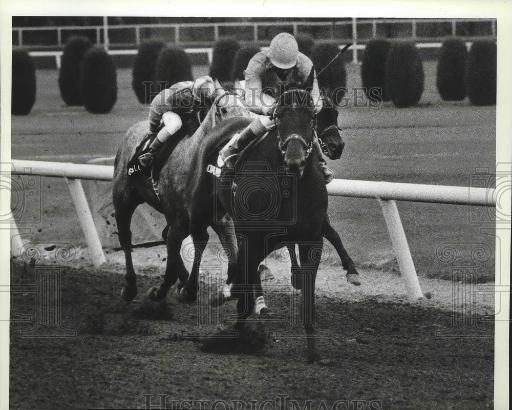 1985 Press Photo Home Run Kid in horse racing action - sps06025- Historic Images