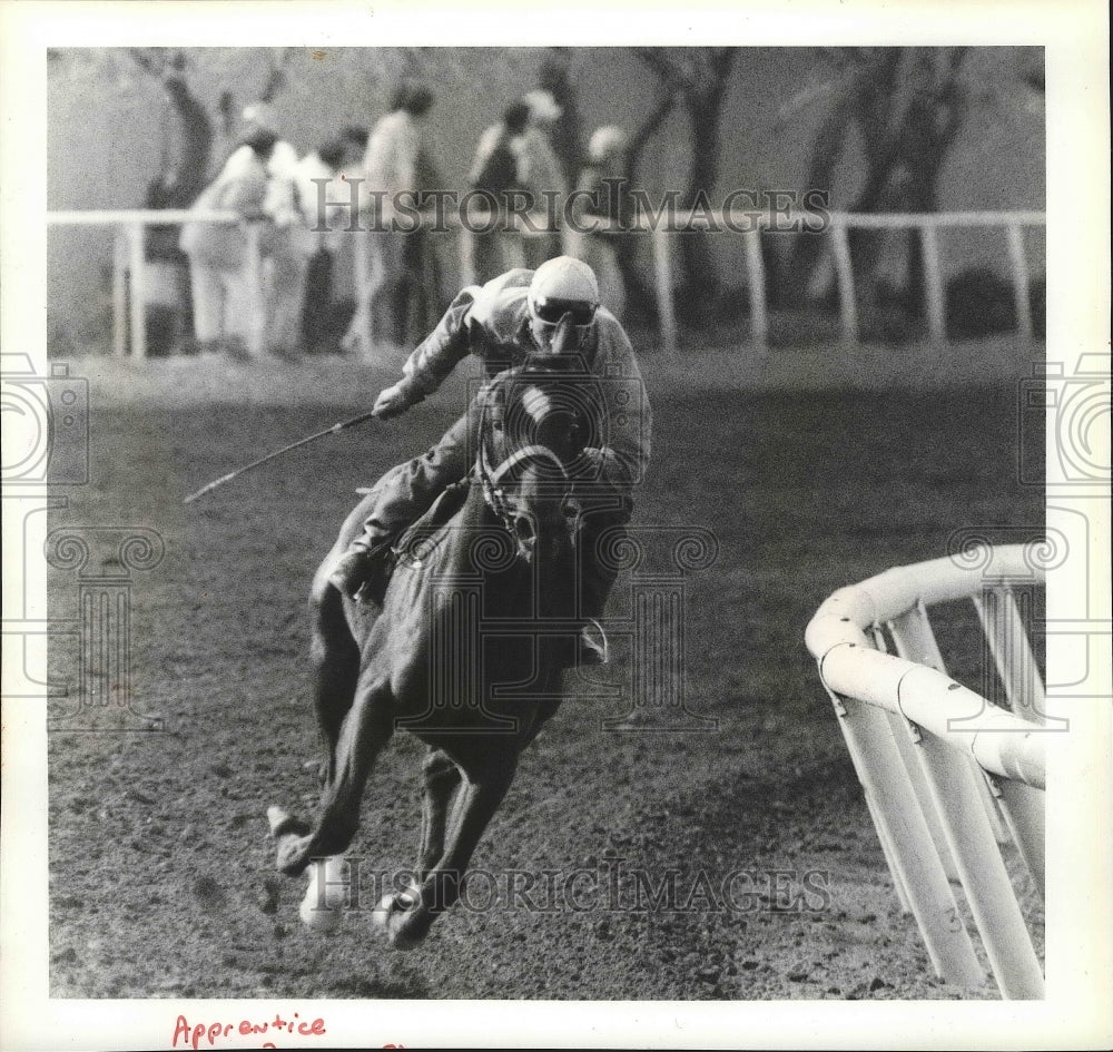 1987 Press Photo Horse racing jockey, Ruben Rivas on Apprentice at Playfair - Historic Images