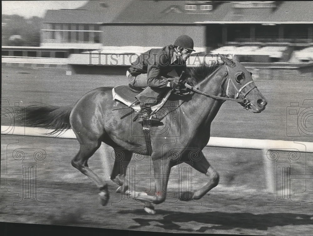 1975 Press Photo Horse racing&#39;s Flying Don Flying flown by Mike James- Historic Images