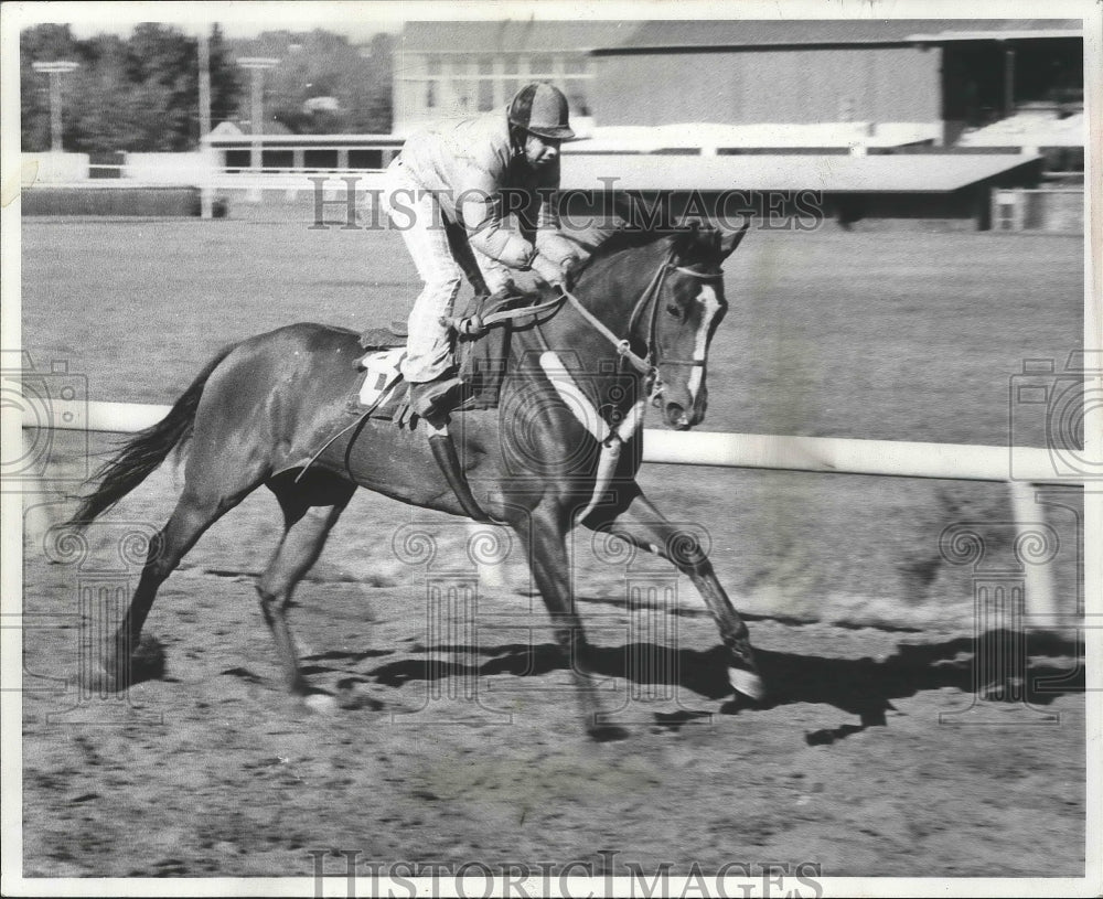 1975 Press Photo Horse racing&#39;s Berset&#39;s Shadow with Colton up - sps07721 - Historic Images