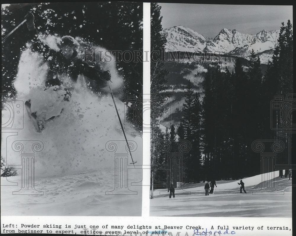 1982 Press Photo Powder skiing at Beaver Creek skiing area in Colorado- Historic Images