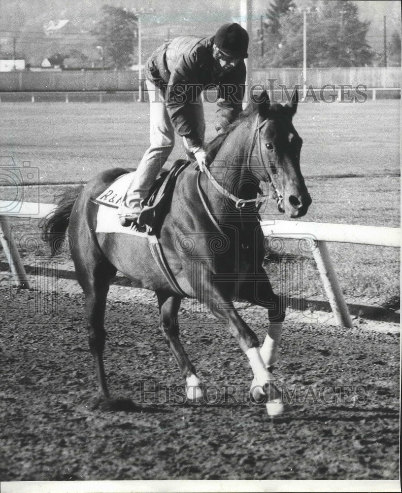 1979 Press Photo Horse racing&#39;s Turbulator ridden by Mark Jennings - sps09058- Historic Images