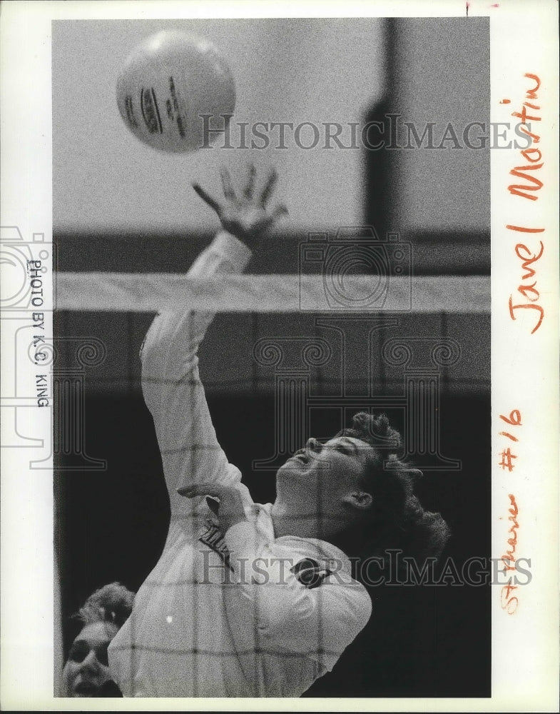 1988 Press Photo Janel Martin, of Saint Maries, Prepares to Spike the Volleyball - Historic Images