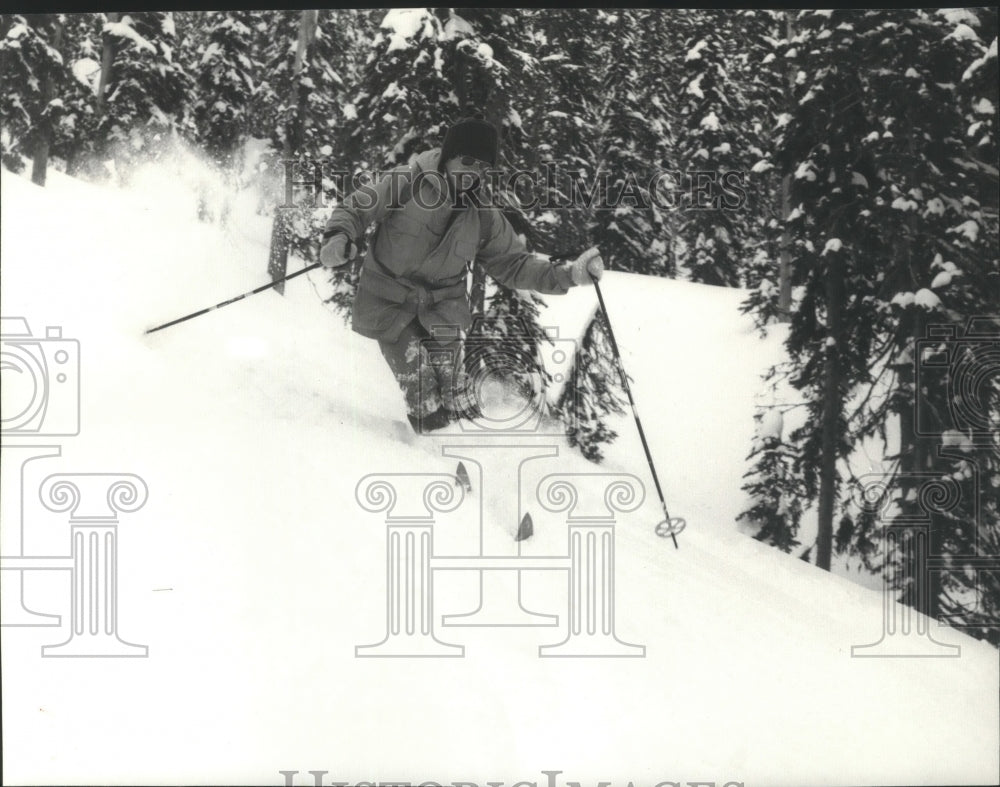 1980 Press Photo A cross-country skier goes downhill near the tree line - Historic Images