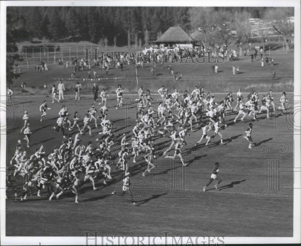 1972 Press Photo Runners streak along a cross-country course , Hangman Valley - Historic Images