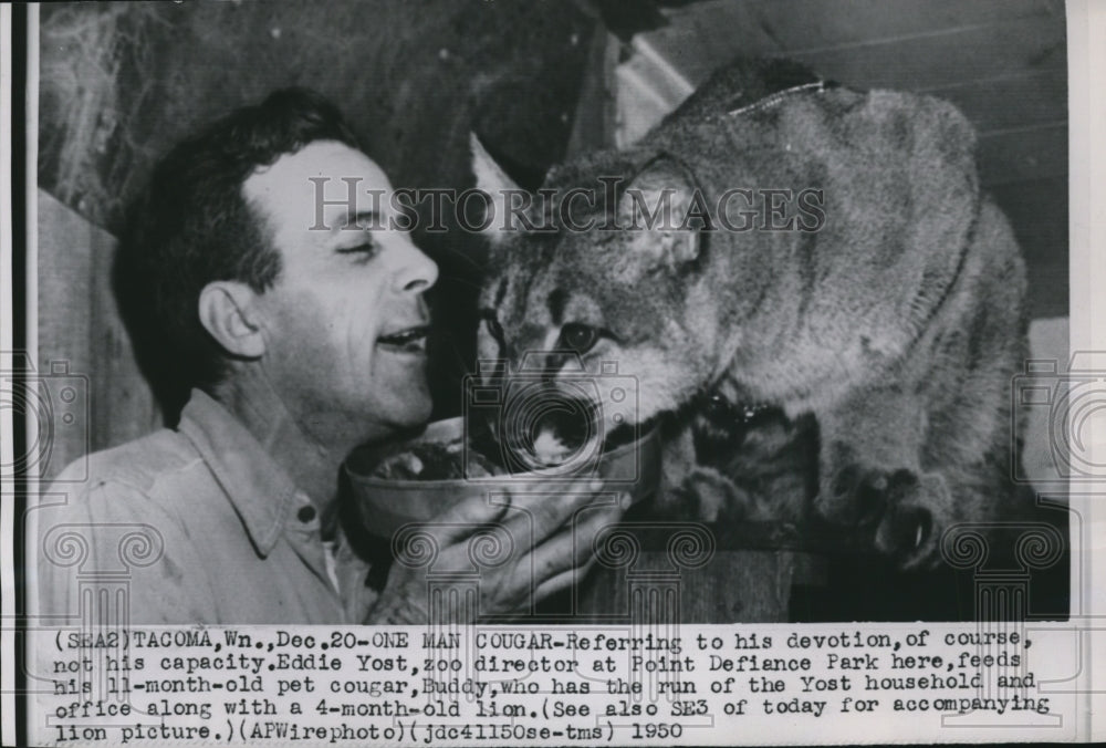 1950 Press Photo Eddie Yost, Zoo director at Point Defiance Park &amp; pet cougar - Historic Images