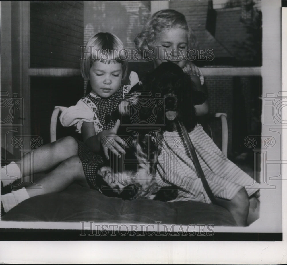 1952 Press Photo Animals, Dogs - Spaniel - Historic Images