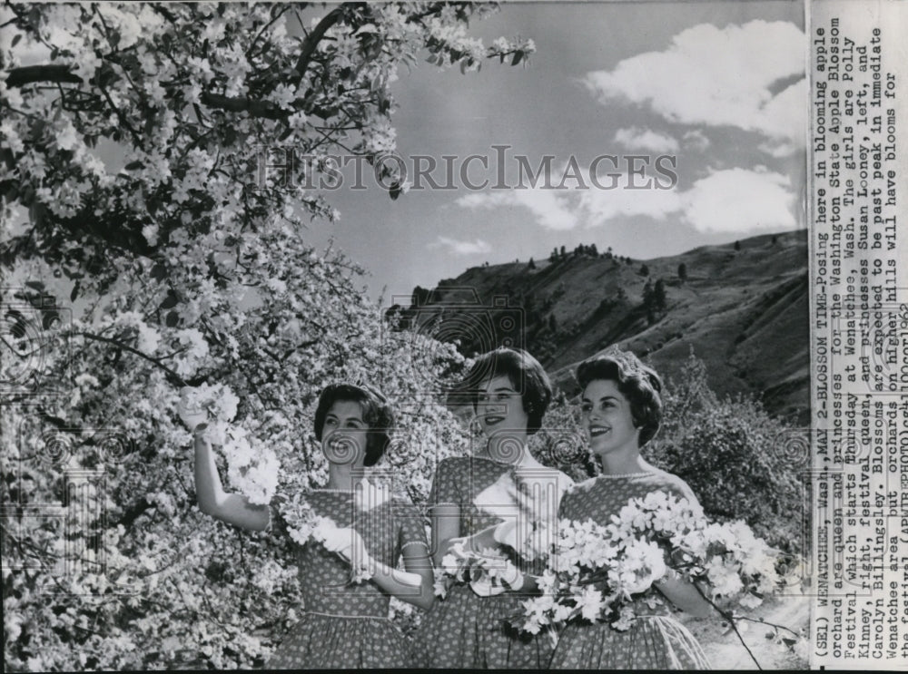 1962 Royalty of Apple Blossom Festival poses in apple orchard - Historic Images