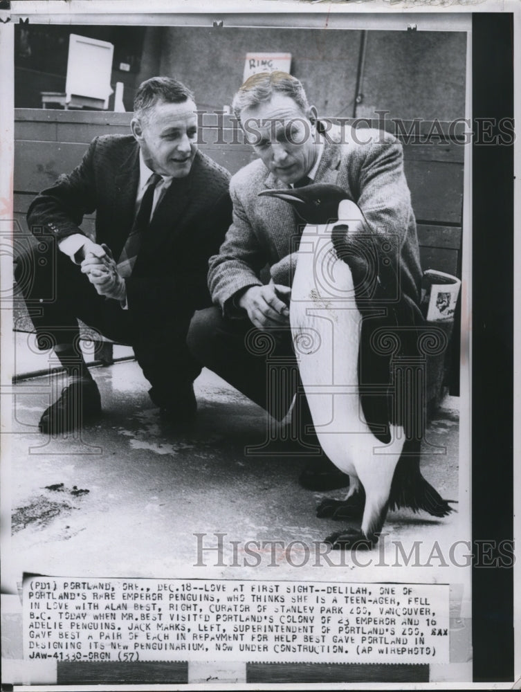 1957 Press Photo Stanley Park&#39;s Emperor penguin Delilah with Alan Best - Historic Images