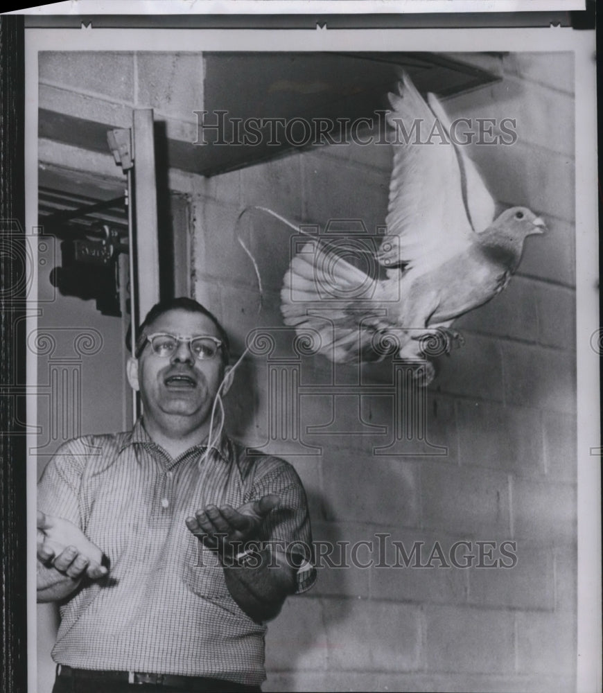 1967 Press Photo Morris Cohen and his homing pigeon wired with transmitter - Historic Images