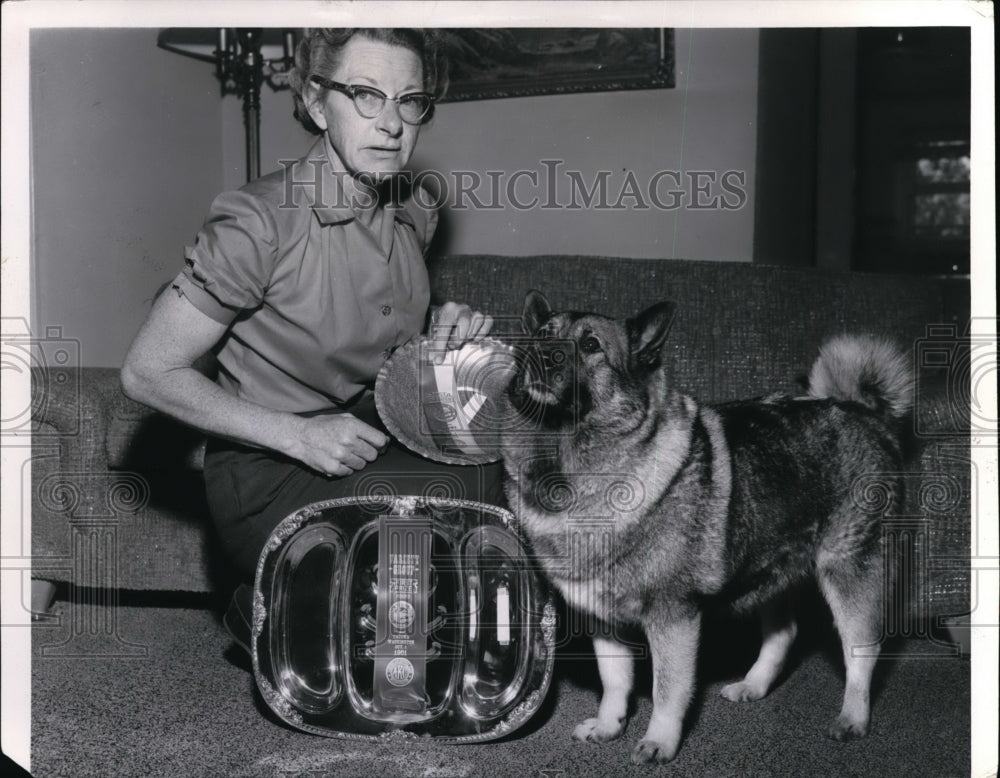 1961 Press Photo Champion Flane AVE Bamsi Havn &amp; owner Mrs Roy Hudlow-Historic Images