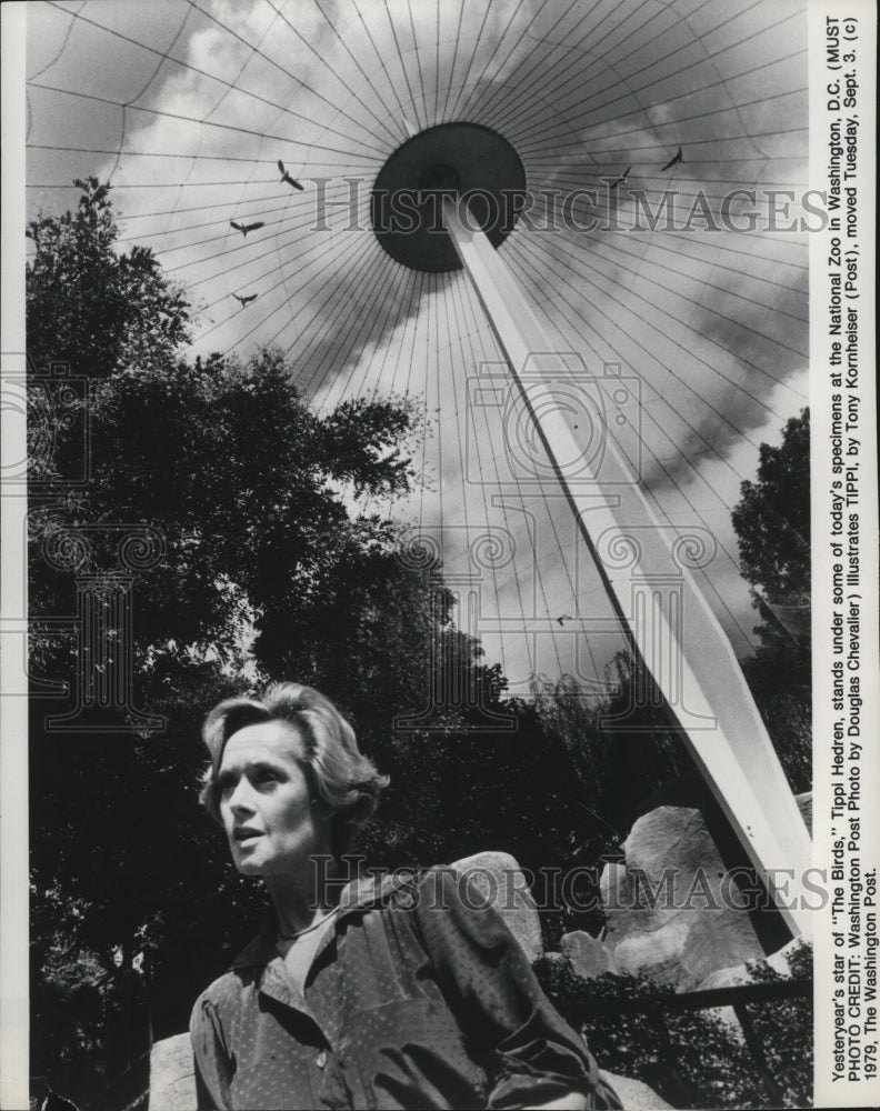 1979 Yesteryear's star of The Birds Tippi Hedren  - Historic Images