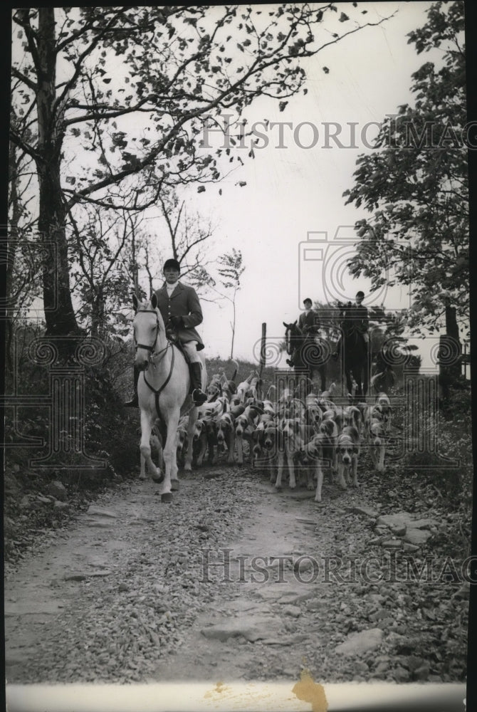 1939 Fred Hedges leads hounds down a rocky path at Ligonier - Historic Images