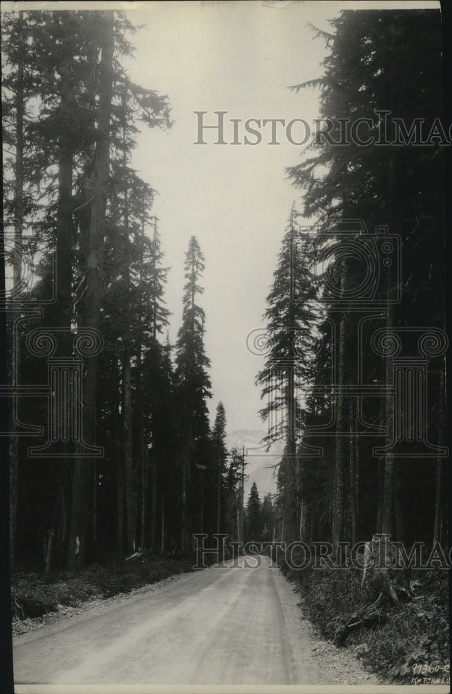 1936 Snoqualmic Pass Highway Washington-Historic Images