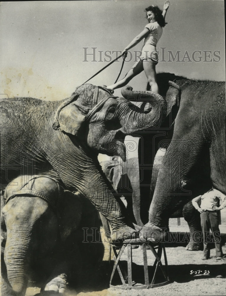 1955 Ruth Cunningham rehearses her routine with elephants-Historic Images