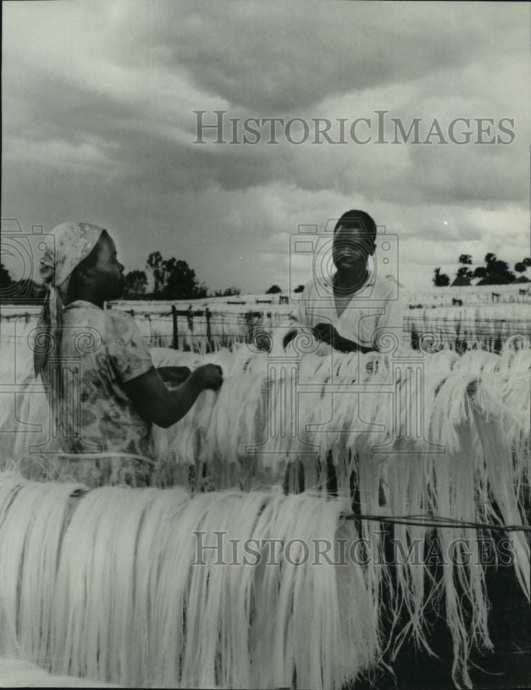 1963 Rope products in the highlands of Kenya East Africa Historic Images