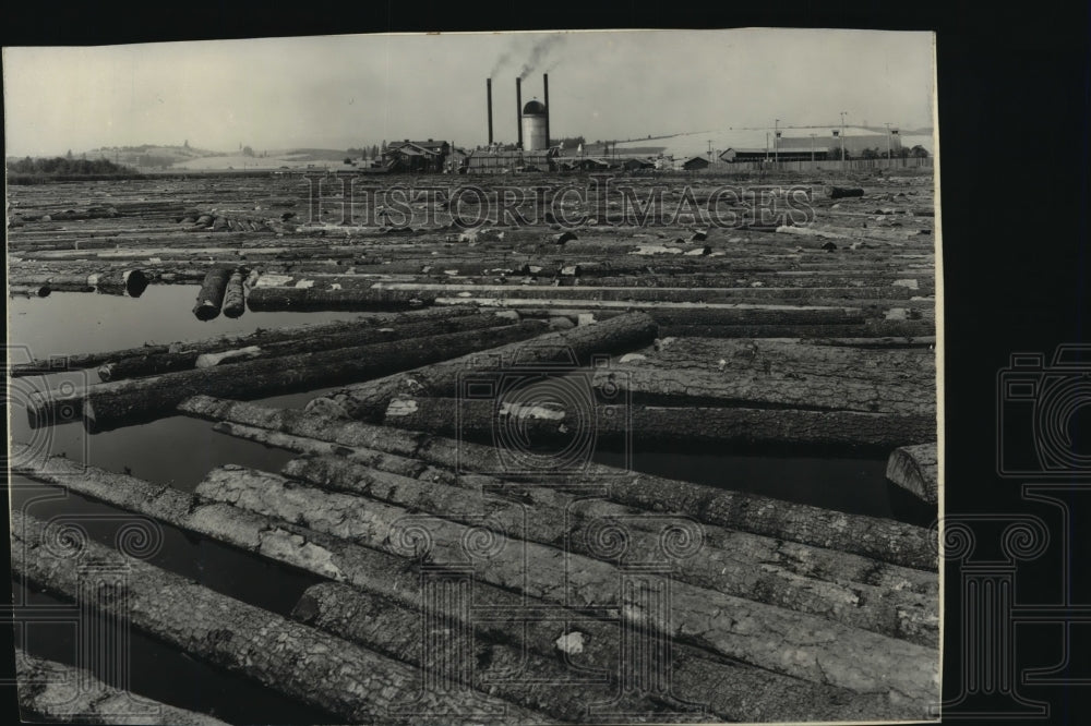 1940 Logs in front of the McGoldrick Lumber Co. sawmill  - Historic Images