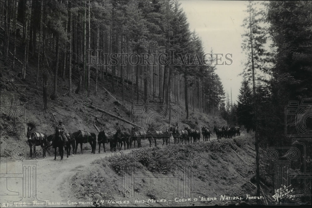 1937 Press Photo Coeur d'Alene National Forest - spx11260- Historic Images