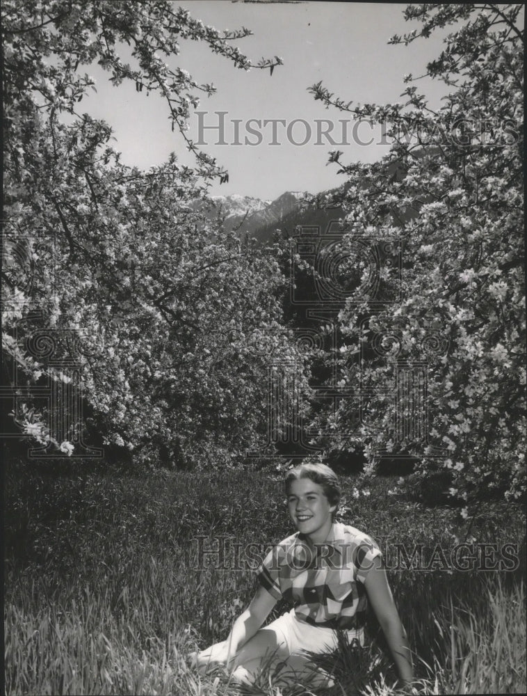 1957 Press Photo Orchard Scene - spx11653-Historic Images