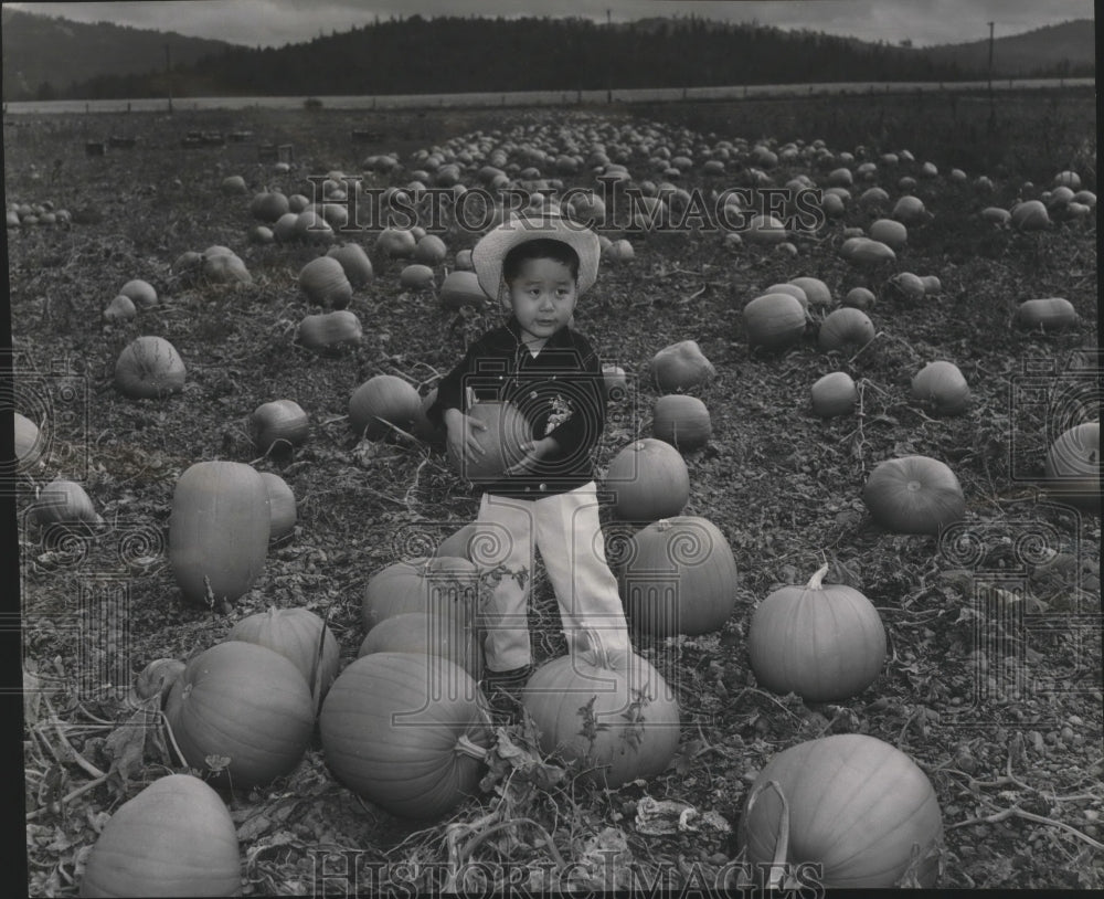 1956 Press Photo Don Yamamoto picks a pumpkin for jack-o-lantern in Opportunity- Historic Images