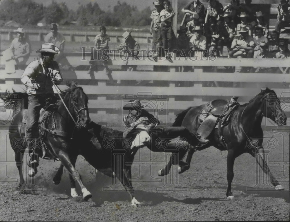 1957 Press Photo Rodeo- 1957- Scene from the steer-wrestling competition-Historic Images