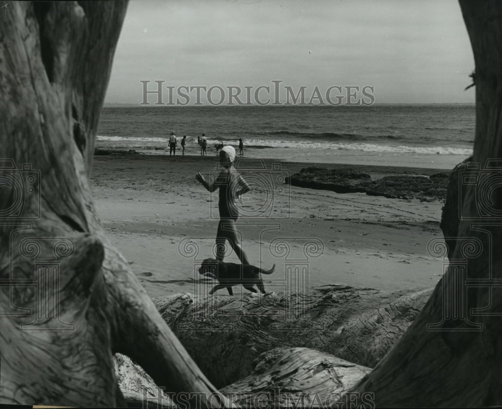 1964 Press Photo Framed in Driftwood are Happy Vacationers on Washington Beach-Historic Images