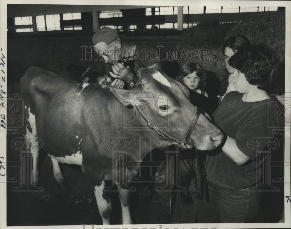 1982 Farmer and Helpers Clipping Cow at New York State Fair - Historic Images