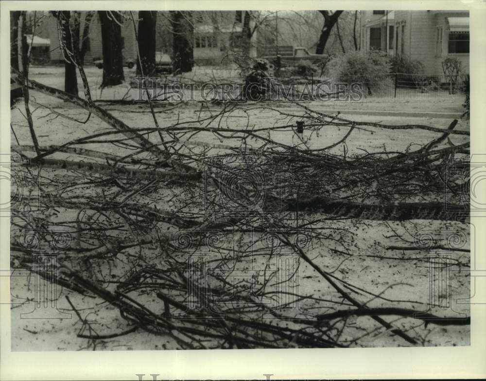 1976 Press Photo Tree Limbs Down on Snow Covered Tamarack Street in Liverpool- Historic Images